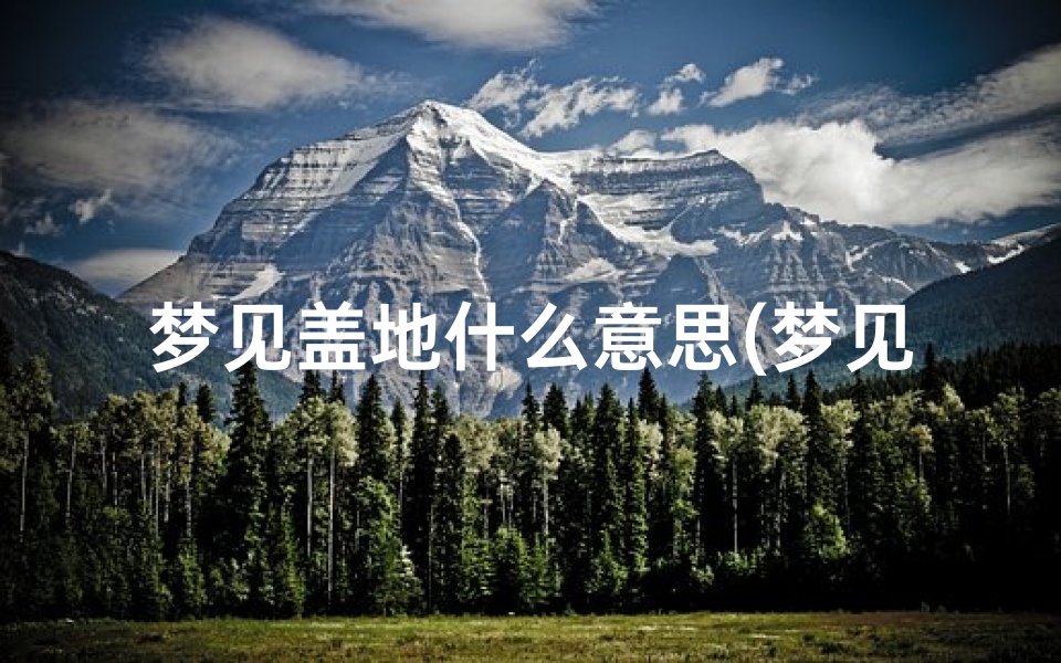 梦见盖地什么意思(梦见地里盖房)