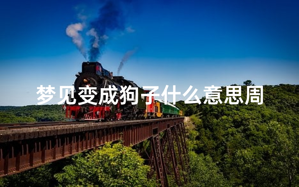 梦见变成狗子什么意思周公解梦(周公解梦梦见一群狗)