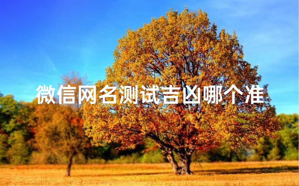 微信网名测试吉凶哪个准(好运招财的微信名字,你好,我想起一个好运招财微信名字)
