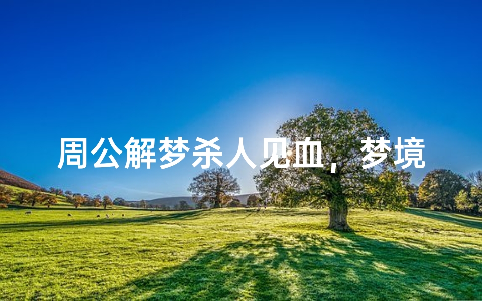 周公解梦杀人见血,梦境解析与心理暗示