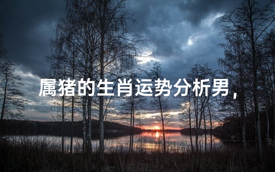 属猪的生肖运势分析男，2024年事业财运感情健康详解