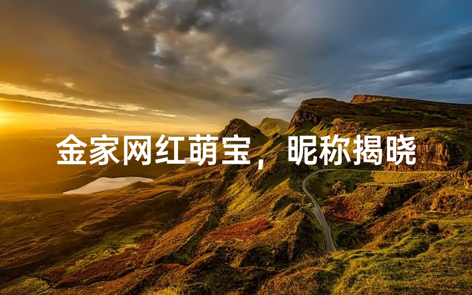 金家网红萌宝,昵称揭晓