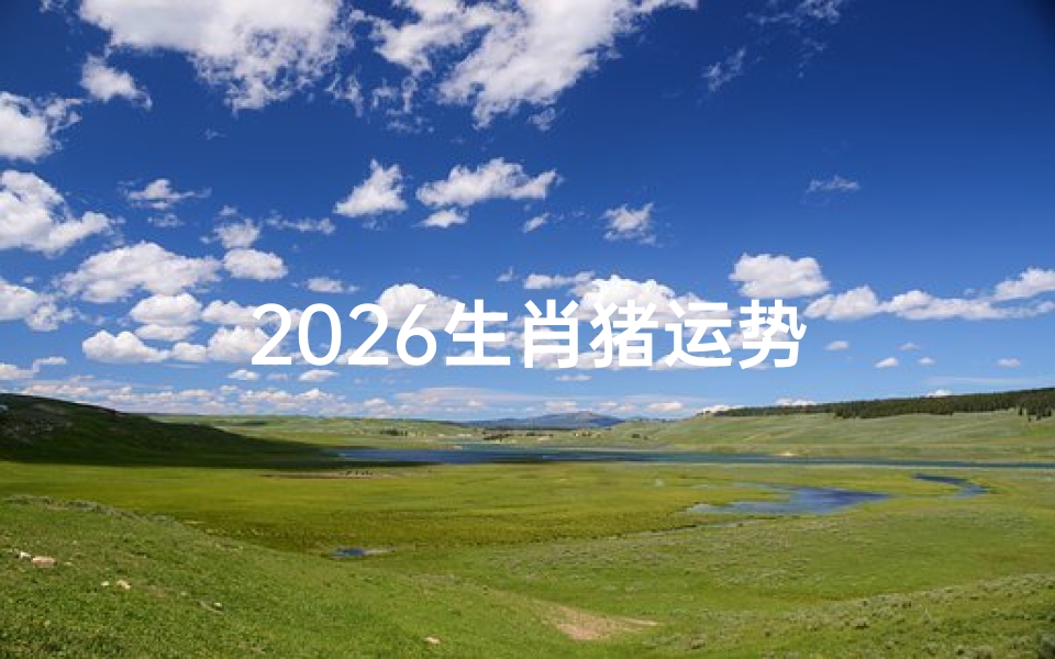 2026生肖猪运势