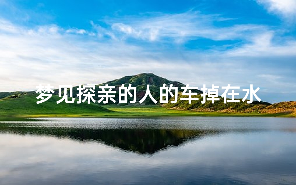 梦见探亲的人的车掉在水里,梦见亲人和车掉水里