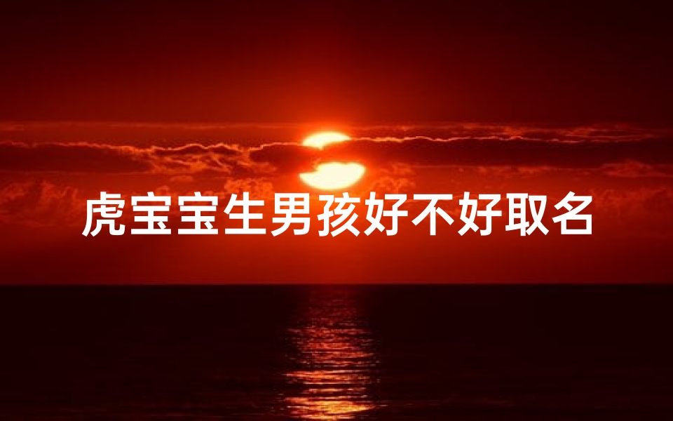 虎宝宝生男孩好不好取名