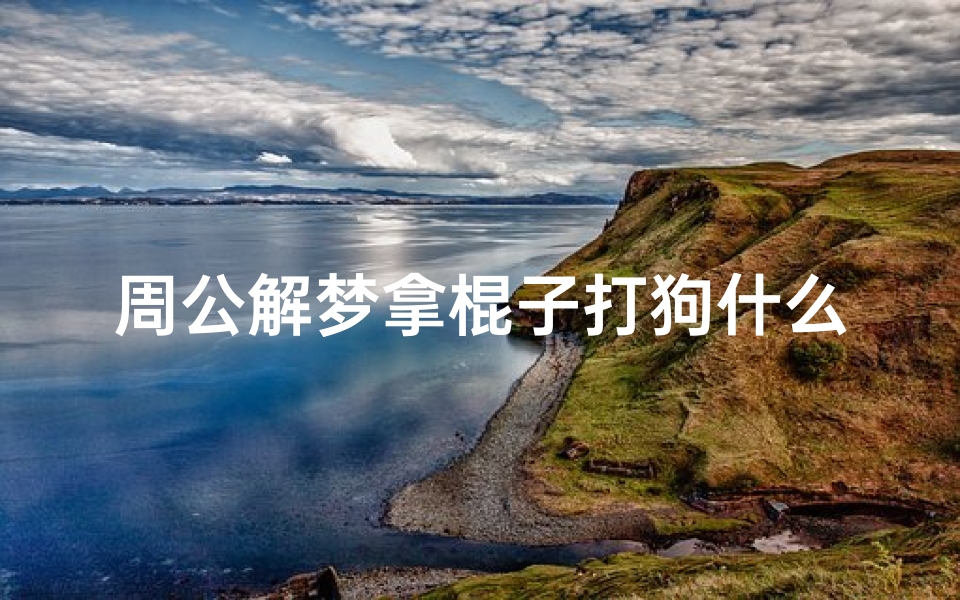 周公解梦拿棍子打狗什么意思(梦见把狗打死了有什么征兆)