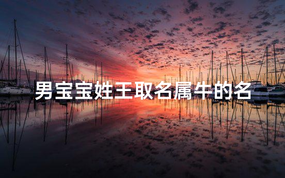 男宝宝姓王取名属牛的名字;王姓属牛的男宝宝取名寓意