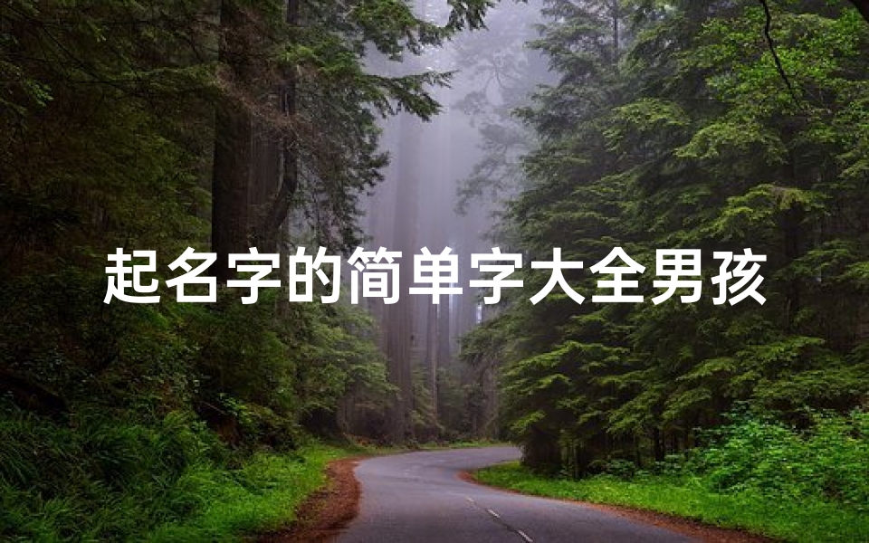 起名字的简单字大全男孩(好听又简单的男孩名字)
