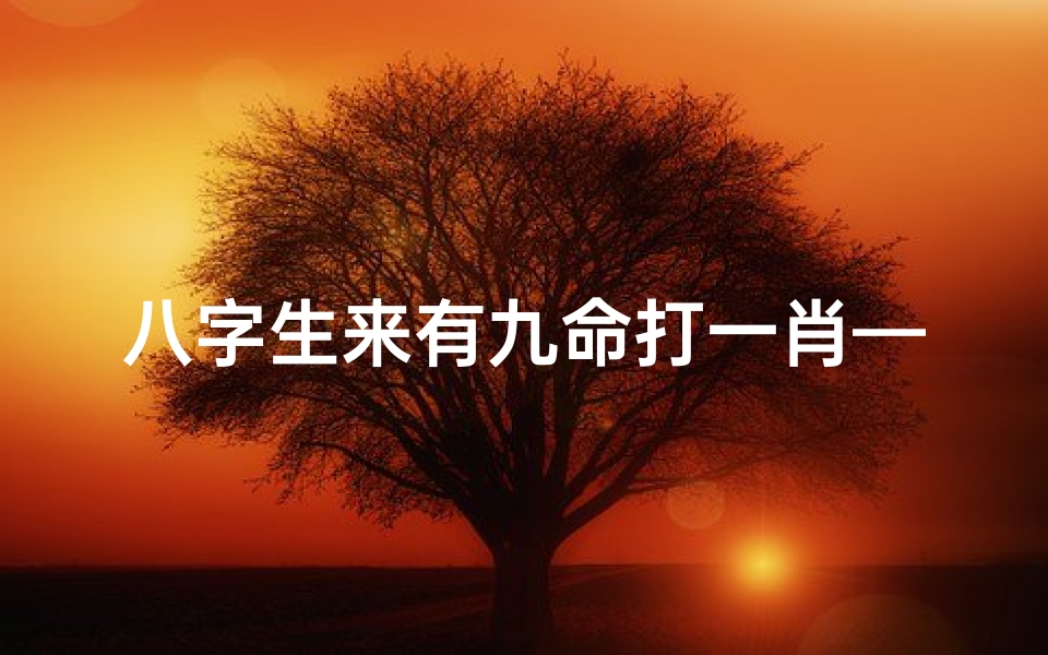 八字生来有九命打一肖—八字生来岂有差