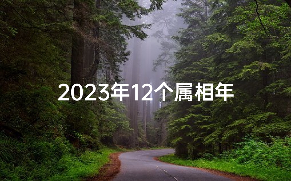 2023年12个属相年龄表(十二生肖属相和年龄表)
