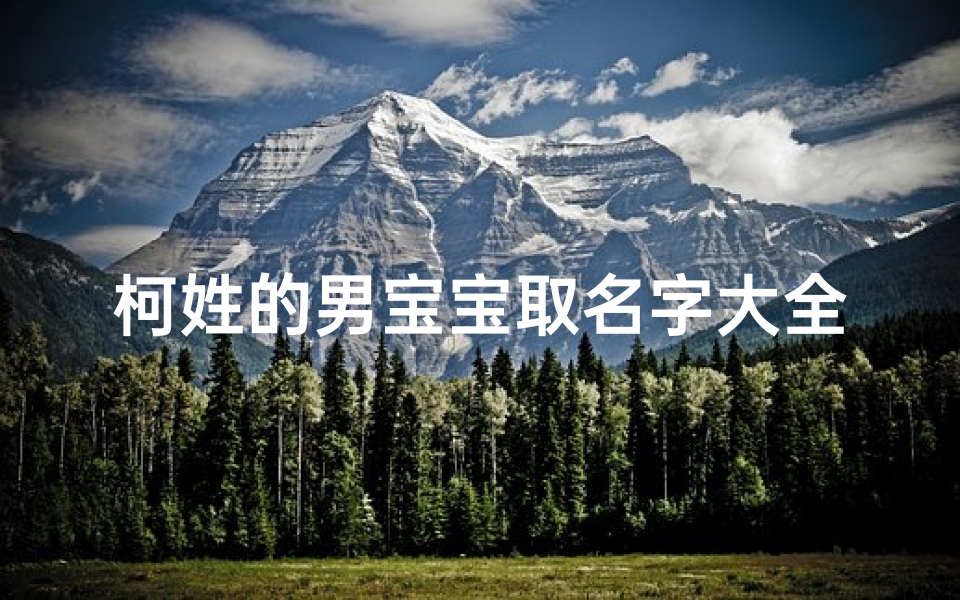 柯姓的男宝宝取名字大全(男孩姓柯独特的名字)