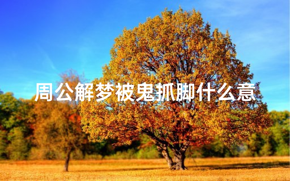 周公解梦被鬼抓脚什么意思(梦见被鬼抓住脚是什么意思 )