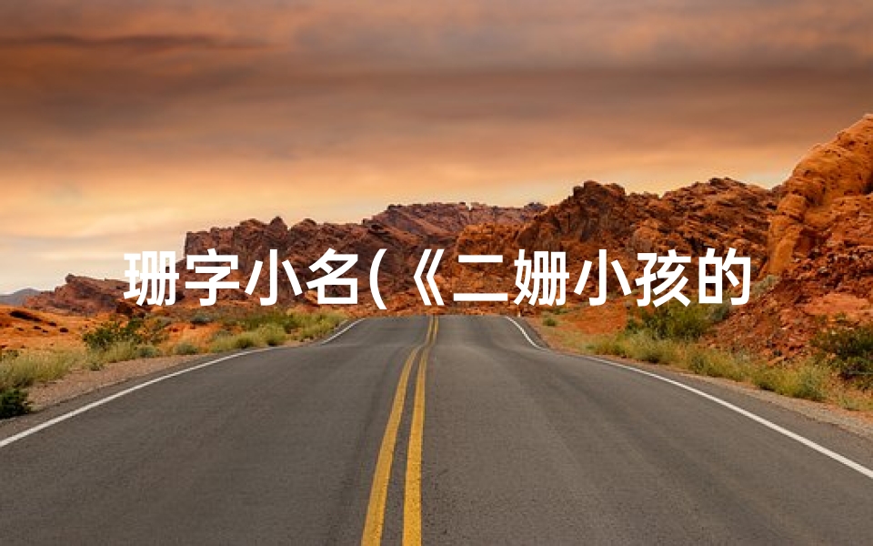 珊字小名(《二姗小孩的奇幻冒险之旅》)