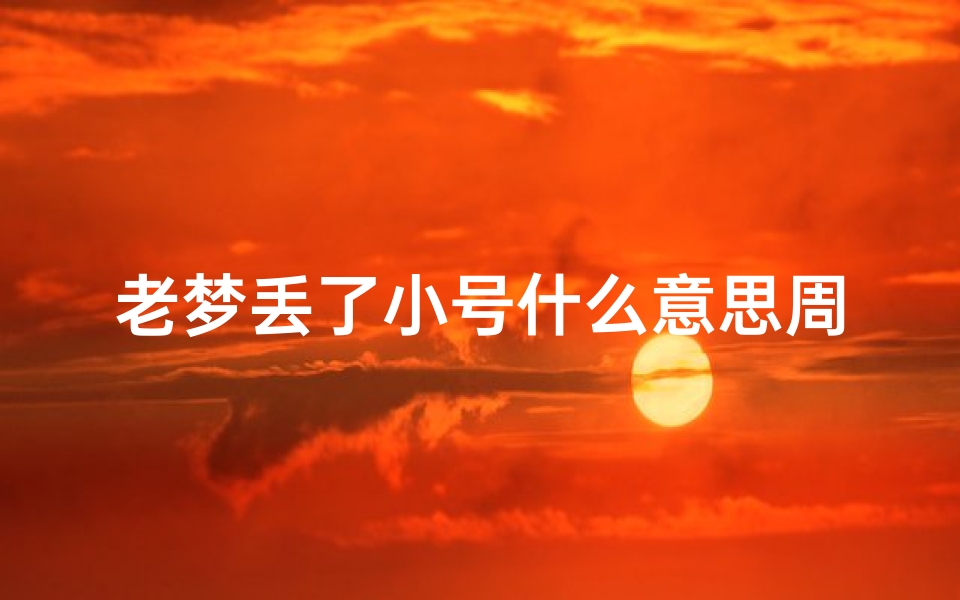 老梦丢了小号什么意思周公解梦(老头老梦梦人啊,鬼啊,房子啥的,啥意思啊 )