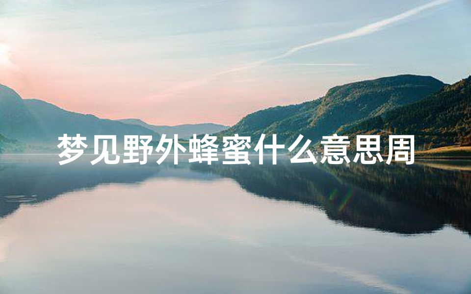 梦见野外蜂蜜什么意思周公解梦(梦见蜂蜜是什么意思)