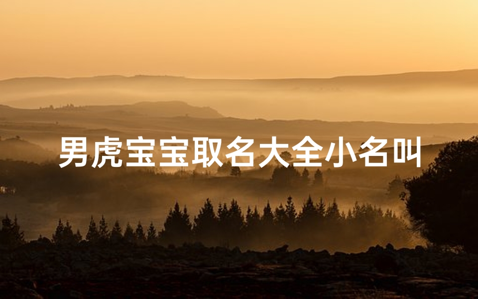 男虎宝宝取名大全小名叫什么-《虎气冲天男虎宝宝精选小名大全》