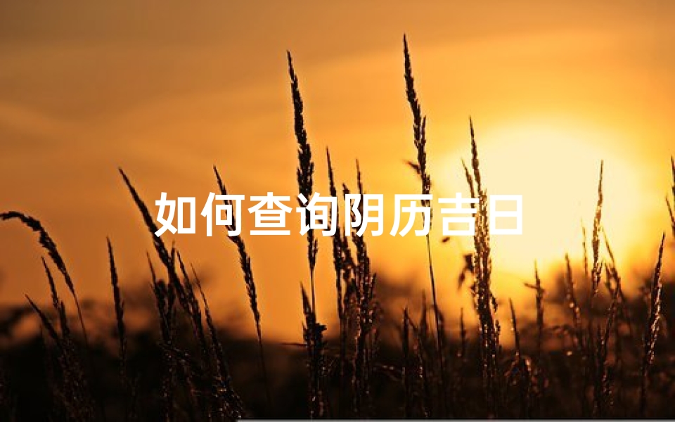 如何查询阴历吉日