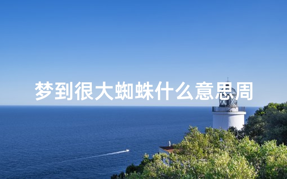梦到很大蜘蛛什么意思周公解梦(做梦梦到一只超大的蜘蛛吓到自己是什么兆头)