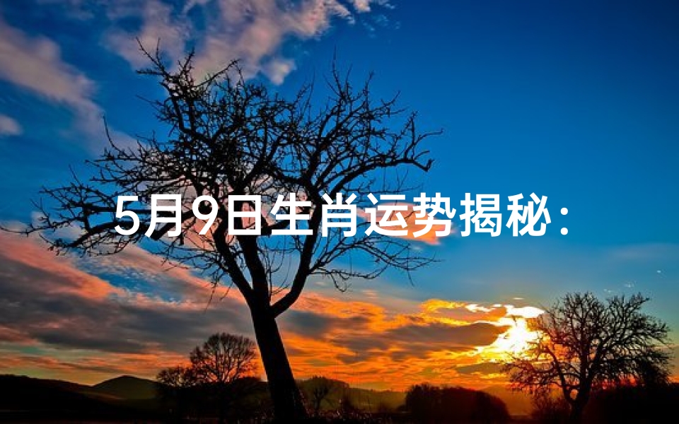 5月9日生肖运势揭秘:一周运势大起底