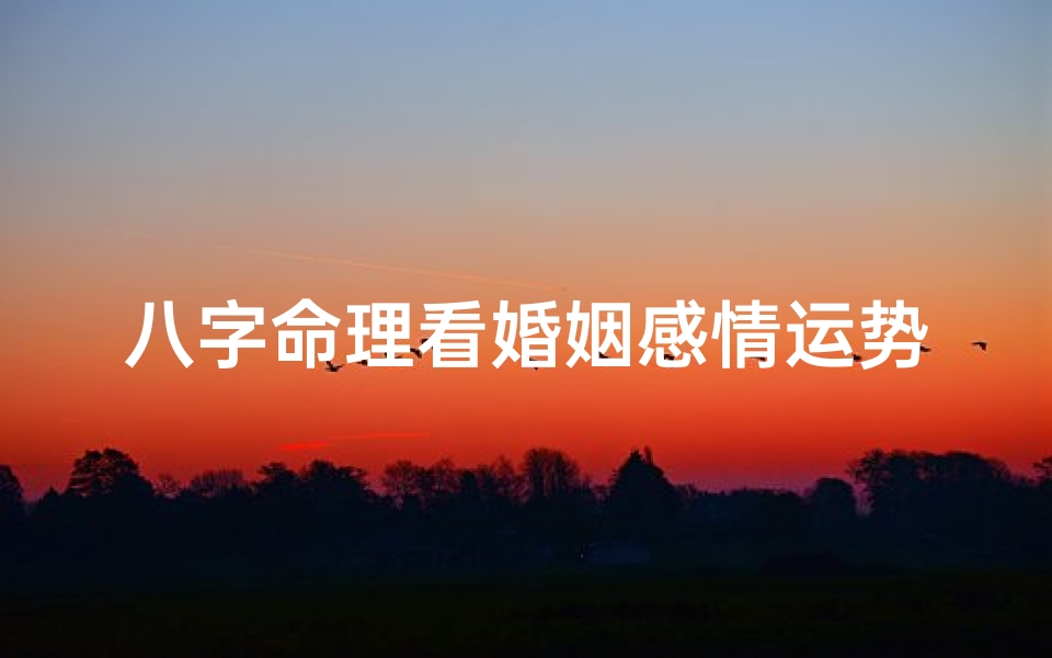 八字命理看婚姻感情运势(如何从你的八字看婚姻)