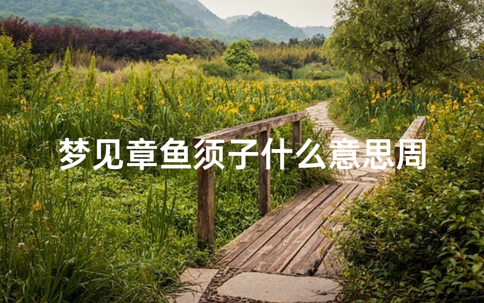 梦见章鱼须子什么意思周公解梦(女性梦到好大的章鱼有什么预兆)