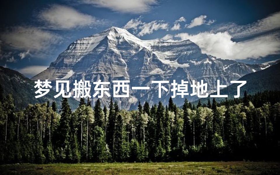 梦见搬东西一下掉地上了;梦见自己搬东西