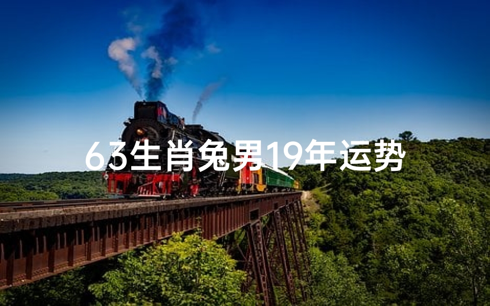63生肖兔男19年运势、《2019年生肖兔男士运势大揭秘》