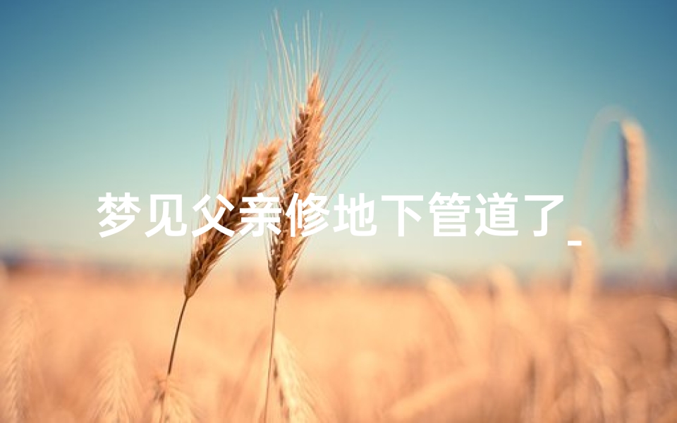 梦见父亲修地下管道了_梦见修地下水管什么意思
