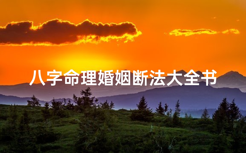 八字命理婚姻断法大全书(八字论婚姻)