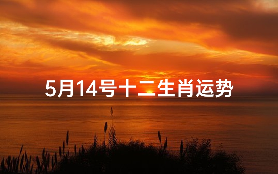 5月14号十二生肖运势、5月14日生肖运势揭秘:运势起伏大揭秘