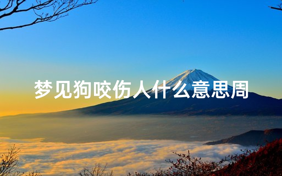 梦见狗咬伤人什么意思周公解梦(梦见狗咬伤是什么意思 )