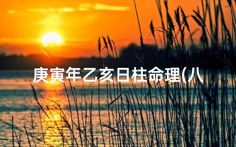 庚寅年乙亥日柱命理(八字喜用)