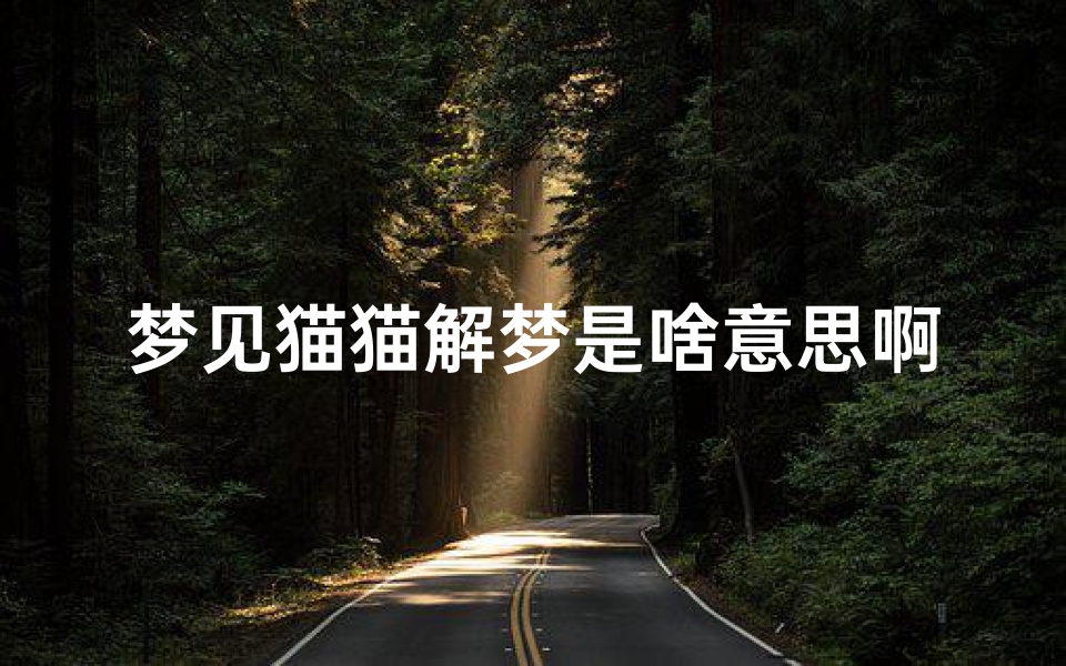 梦见猫猫解梦是啥意思啊、梦见猫怎么化解凶兆