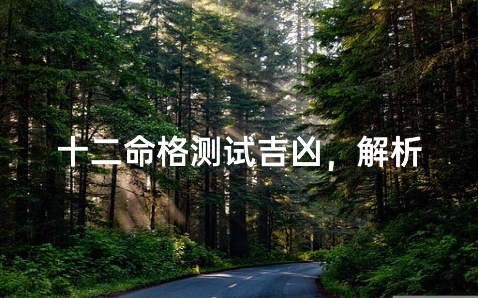 十二命格测试吉凶,解析你的命运密码