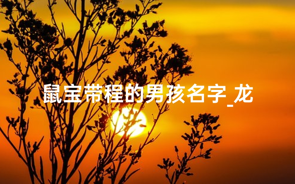 鼠宝带程的男孩名字_龙宝宝含程字取名:探寻美好前程的吉祥名