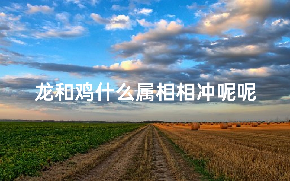龙和鸡什么属相相冲呢呢(属龙和属鸡的合不合婚,鸡和龙的属相合不合)