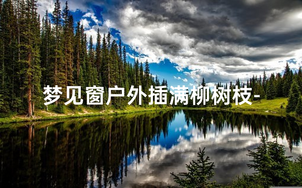 梦见窗户外插满柳树枝-梦见柳树枝条茂盛