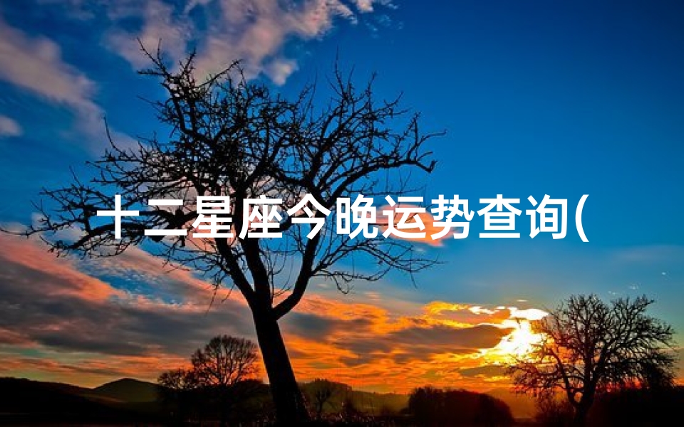 十二星座今晚运势查询(十二星座的每日运势)