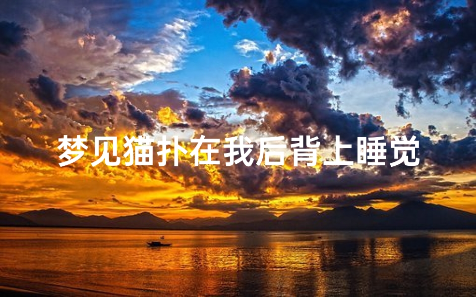 梦见猫扑在我后背上睡觉—梦见猫扑到自己后背是什么征兆