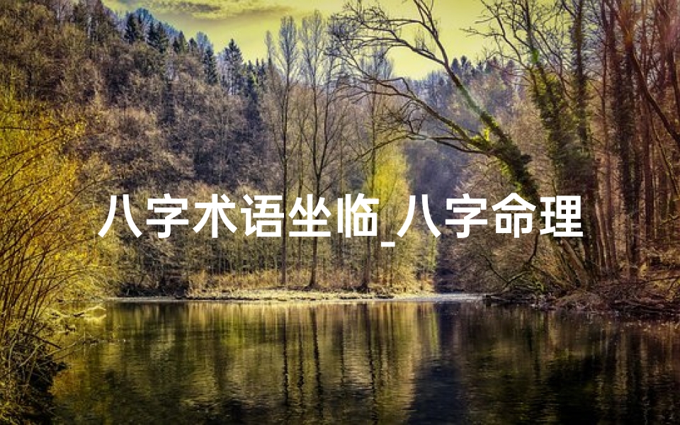 八字术语坐临_八字命理揭秘:临与坐之奥秘解析