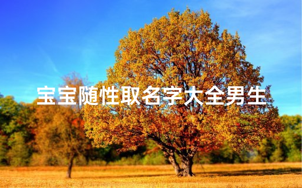 宝宝随性取名字大全男生(兔年10月份出生的男孩起名大全)