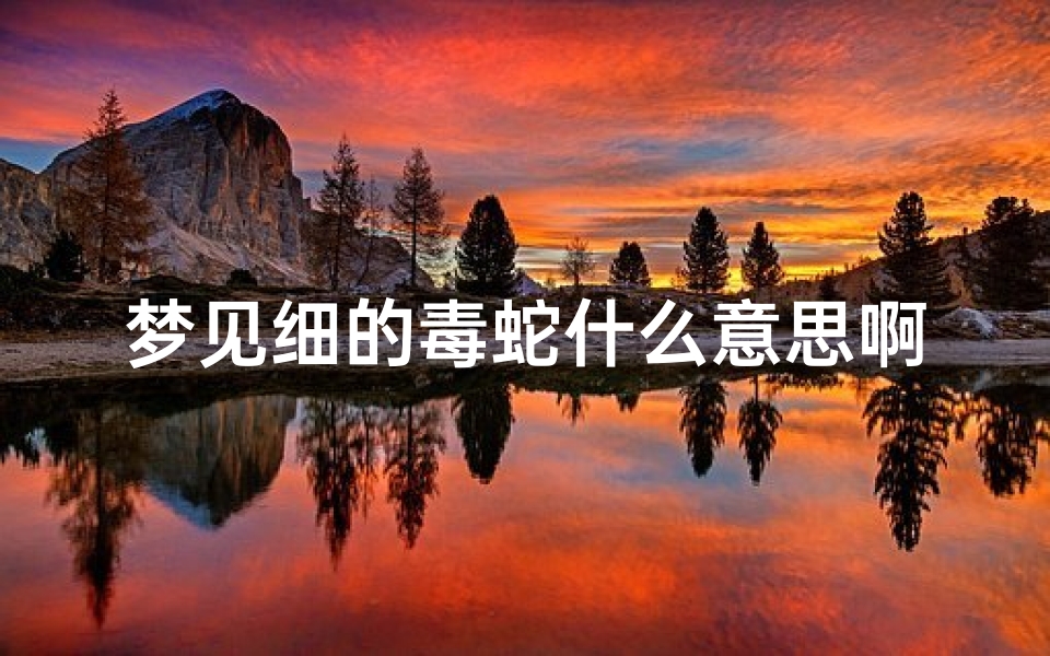 梦见细的毒蛇什么意思啊(梦见细细的蛇是什么)