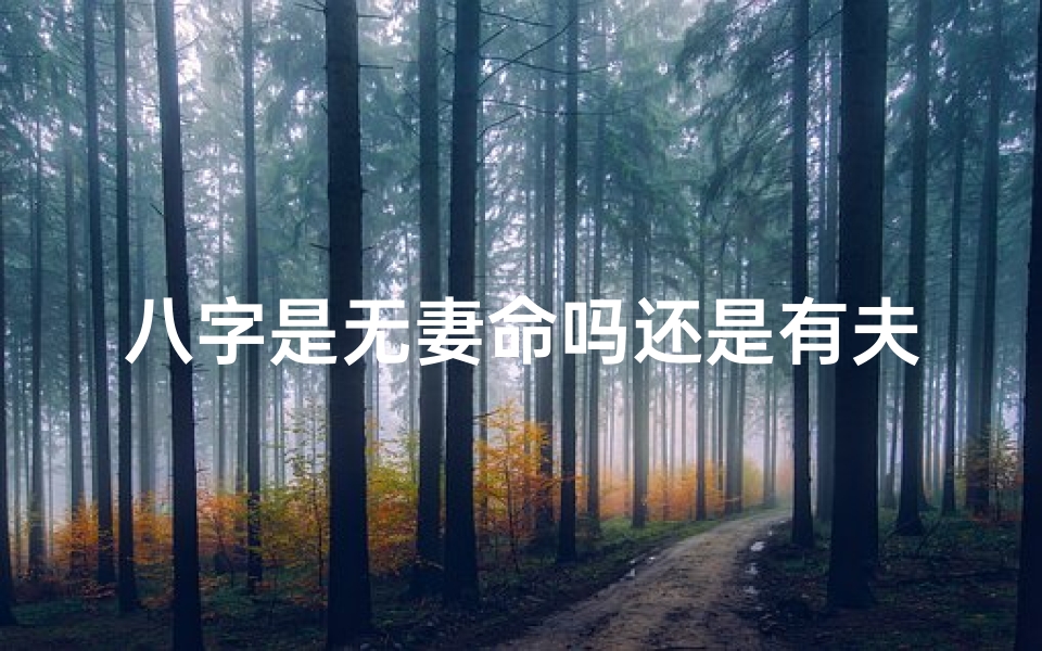 八字是无妻命吗还是有夫-八字无妻财怎么办