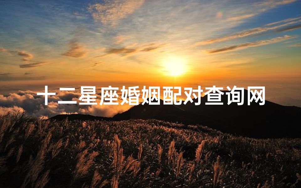 十二星座婚姻配对查询网(十二星座男女最佳配对表)