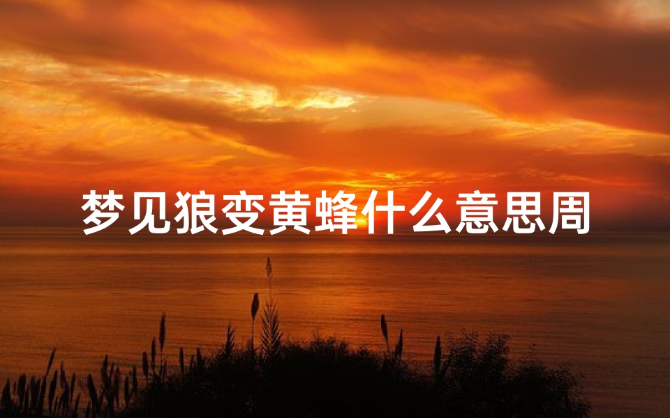 梦见狼变黄蜂什么意思周公解梦(周公解梦梦见狼)