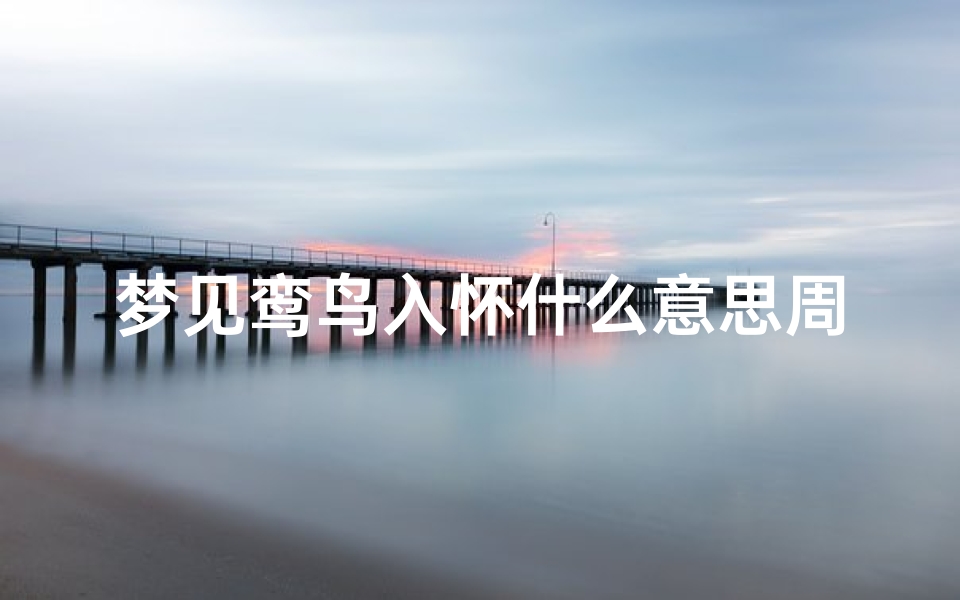 梦见鸾鸟入怀什么意思周公解梦(梦见青鸾有什么预示和征兆)