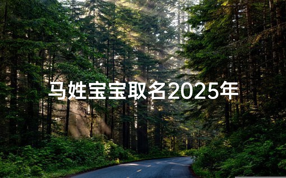 马姓宝宝取名2025年