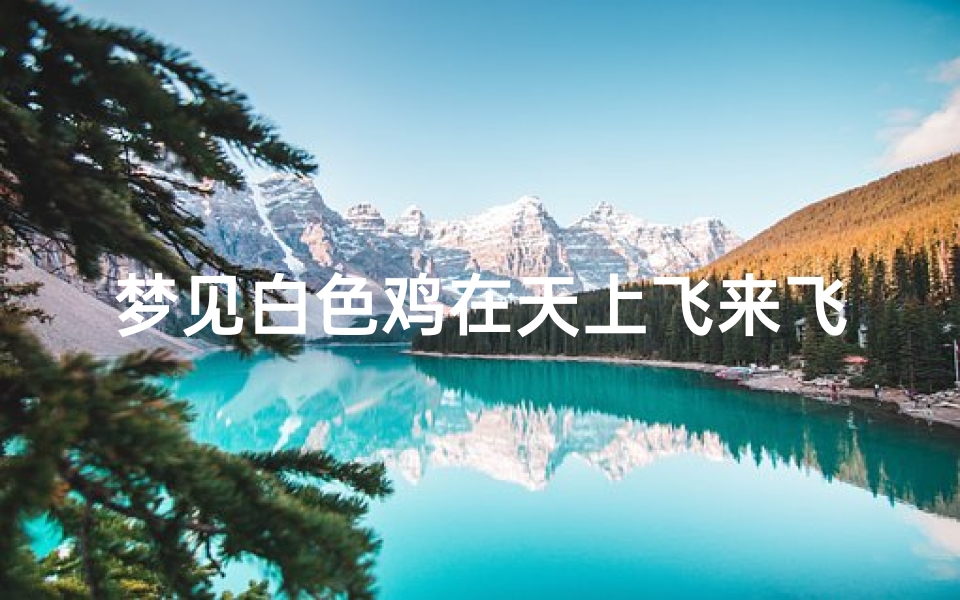 梦见白色鸡在天上飞来飞去、梦见白色鸡在天上飞来飞去什么意思