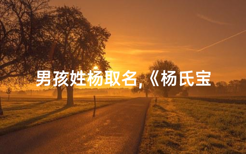 男孩姓杨取名,《杨氏宝宝,传承美好,寓意吉祥》