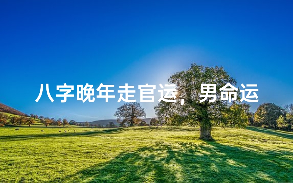 八字晚年走官运,男命运势大翻身